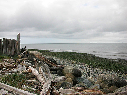 beach access north of Swantown Lake, Whidbey Island, Washington