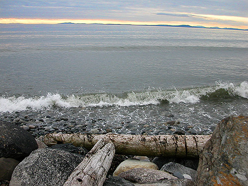 high tide at beach north of Swantown Lake, Whidbey Island, Washington