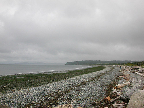 low tide on beach at county access point north of Swantown Lake, Whidbey Island, Washington
