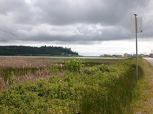 marsh & lake with bird on signpost, north of Swantown Lake, Whidbey Island, Washington