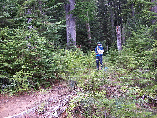Andrew at edge of clearcut, Pacific Crest Trail south of Tacoma Pass, King/Kittitas County, Washington