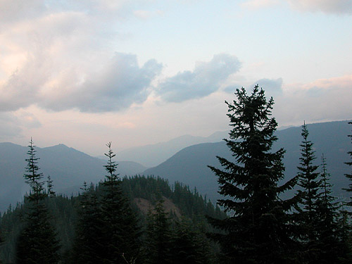 view of nearby hills from Forest Road 41 west of Tacoma Pass, King County, Washington