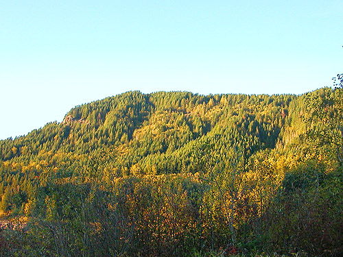 hillside over Riffe Lake, Taidnapam Park, Lewis County, Washington
