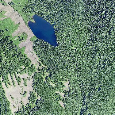 2019 aerial photo of Talapus Lake, King County, Washington