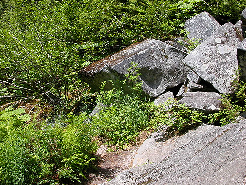 talus boulders, Talapus Lake, King County, Washington