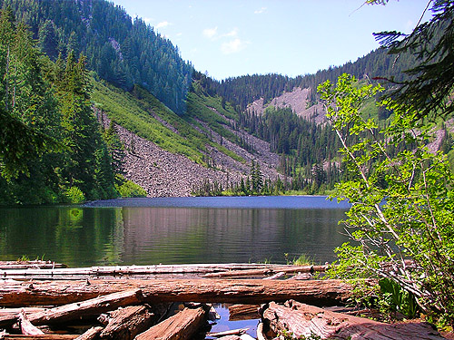 view from S end of Talapus Lake, King County, Washington