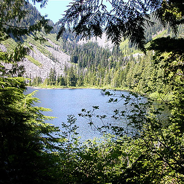 north part of Talapus Lake, King County, Washington