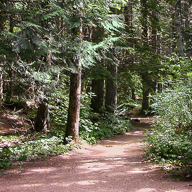 Start of trail to Talapus Lake, King County, Washington