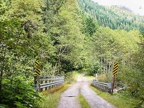 beautiful scene where forest road crosses creek, Tenas Creek bridge, Skagit County, Washington