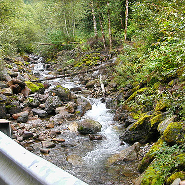 upstream view from Tenas Creek bridge, Skagit County, Washington