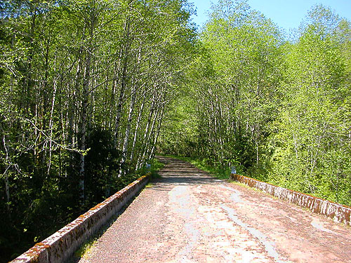 bridge across North Fork Tilton River, Lewis County, Washington