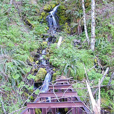 some water cascades near our last site, above North Fork Tilton River, Lewis County, Washington