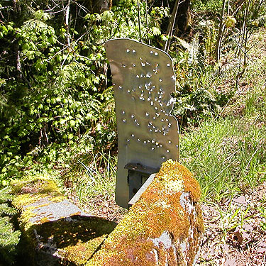 bridge sign shot full of holes, North Fork Tilton River, Lewis County, Washington