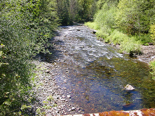 downstream of bridge, North Fork Tilton River, Lewis County, Washington