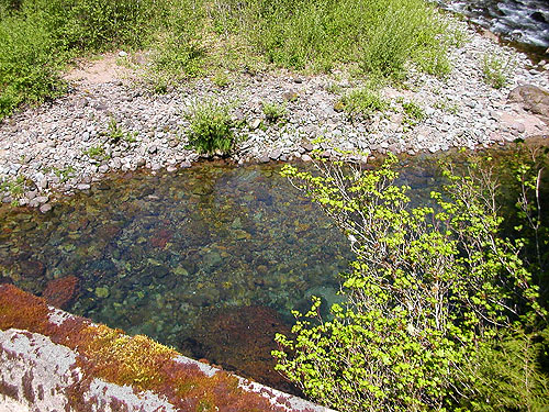 gravel bar visible from bridge, North Fork Tilton River, Lewis County, Washington