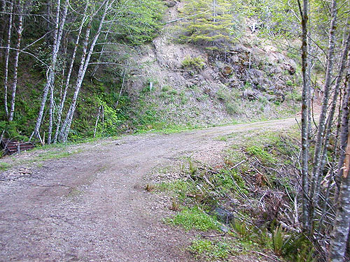 road switchback, above North Fork Tilton River, Lewis County, Washington