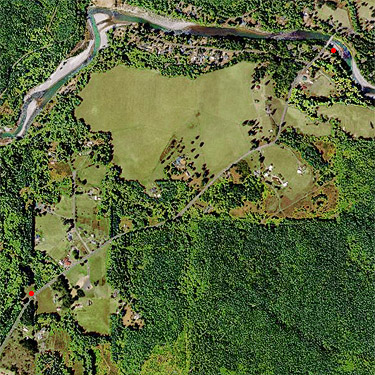 spider sites on Tower Road, Toutle Valley, Cowlitz County, Washington