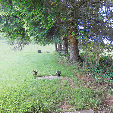 red cedars at edge of Whittle-Hubbard Cemetery, Castle Rock, Washington