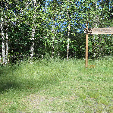 upland grass, Tower Bridge River Access, Toutle River, Washington