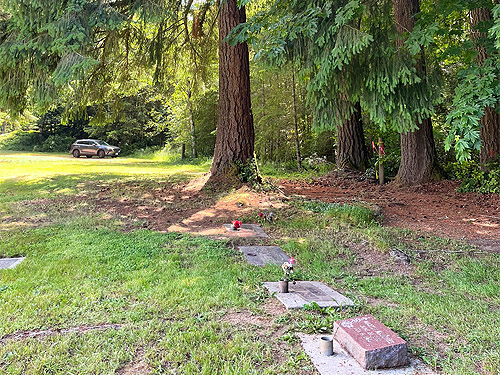 Rosin Cemetery, Tower Road, Toutle Valley, Cowlitz County, Washington