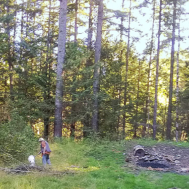 Rod Crawford sweeping grass, field site on Trapper Creek, Jefferson County, Washington
