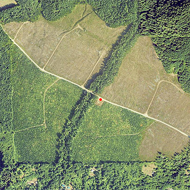 2022 NAIP aerial view of Jefferson Creek spider sample site, Lewis County, Washington