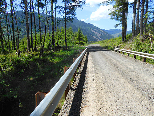 bridge over Jefferson Creek, Jefferson Creek spider sample site, Lewis County, Washington