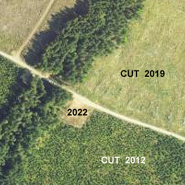 dates of clearcuts/clearing, Jefferson Creek spider sample site, Lewis County, Washington