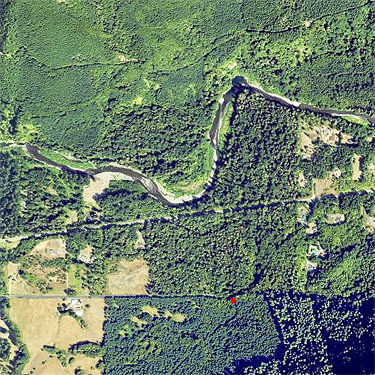 2024 NAIP aerial view, Dodge Road forest south of Hwy 508 and Tilton River, Lewis County, Washington