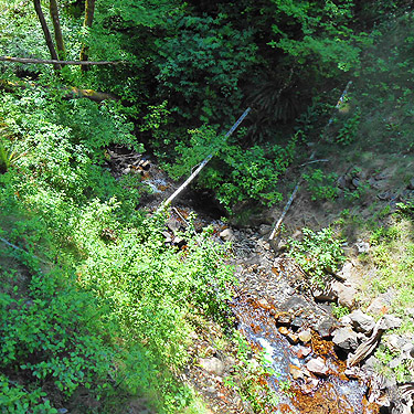 Jefferson Creek in its ravine, Jefferson Creek spider sample site, Lewis County, Washington