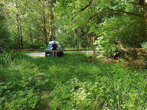 Jerry Austin sifting moss, Dodge Road forest south of Hwy 508 and Tilton River, Lewis County, Washington