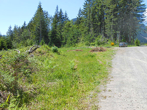 parking place at edge of grass field, Jefferson Creek spider sample site, Lewis County, Washington