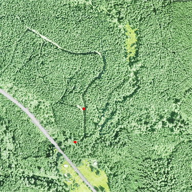 2024 aerial view of field sites near upper East Fork Hoquiam River, Washington