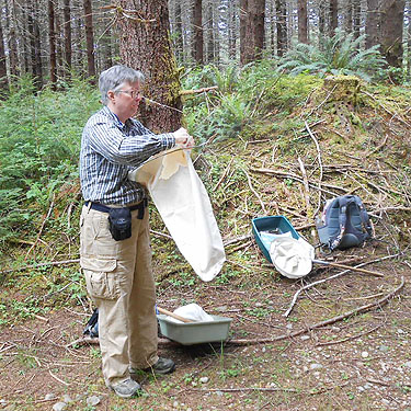 Laurel installs new net bag, near upper East Fork Hoquiam River, Washington