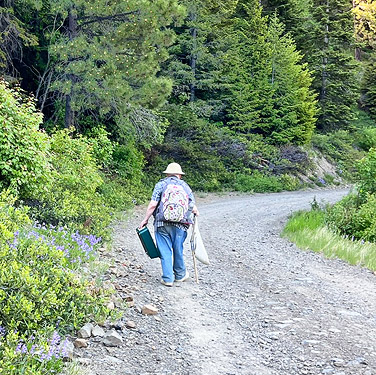 Rod Crawford walking down from ski-runs above Mission Ridge resort, Chelan County, Washington