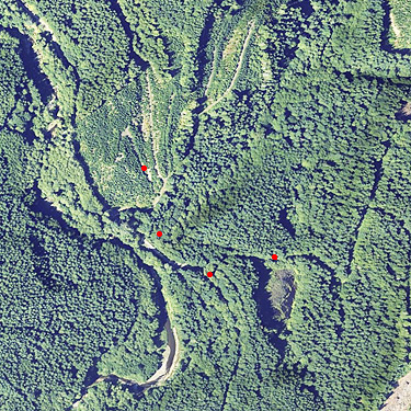 2023 aerial photo of Upper Wishkah river spider sites, Grays Harbor County, Washington