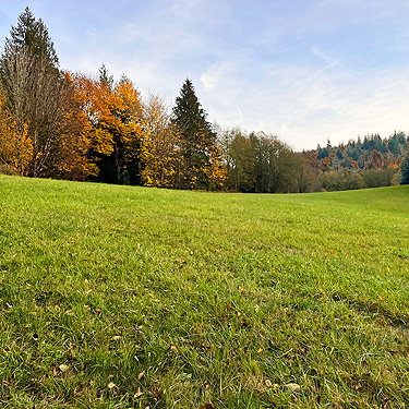 private hayfield near end of Longbell Road, Lewis County, Washington