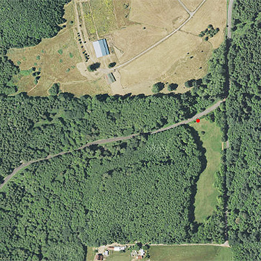 location of second spider site on Longbell Road, Lewis County, Washington