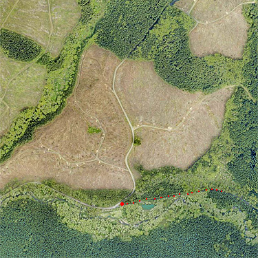 2024 aerial photo showing field site on Upper Winston Creek, Lewis County, Washington
