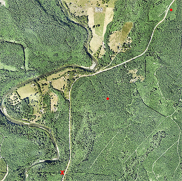 aerial photo of spider field sites in upper Wynoochee valley, 1 September 2024