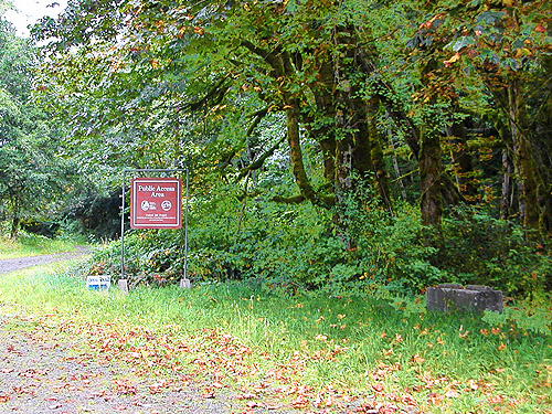 Wynoochee River Public Access, Grays Harbor County, Washington