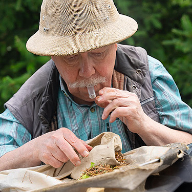 Rod Crawford sorting a tree beat sample, second field site, Upper Wynoochee Valley, Grays Harbor County, Washington