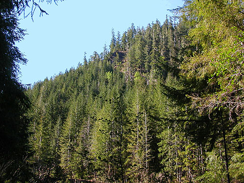ridge north side creek valley, Vance Creek headwaters, Mason County, Washington