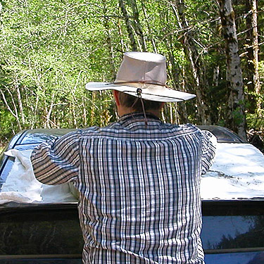 Laurel Ramseyer sifting moss, Vance Creek headwaters, Mason County, Washington