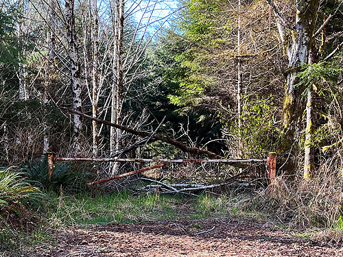gate to private timberland, Vesta, Washington