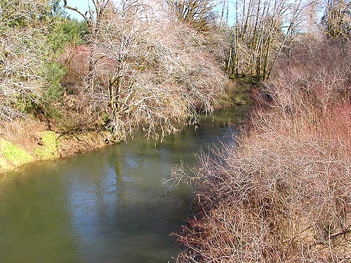 North River downstream of bridge, outside Vesta, Washington