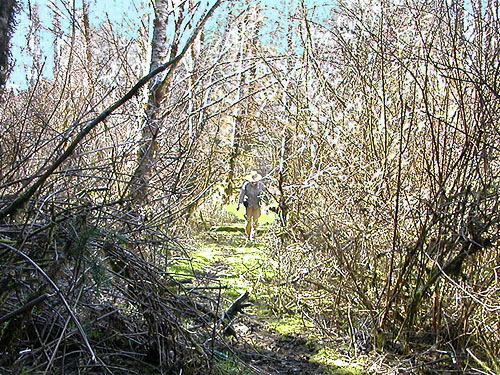 Laurel Ramseyer on the trail/old road to marsh near Vesta, Washington