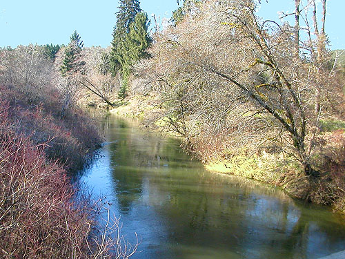 North river upstream of bridge near Vesta, Washington
