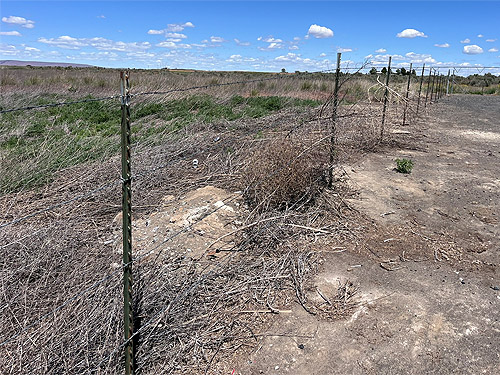 wire fence, Winchester Lake, Grant County, Washington