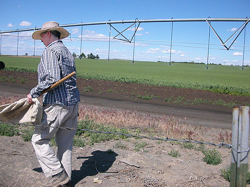 Laurel Ramseyer on road, Winchester Lake, Grant County, Washington